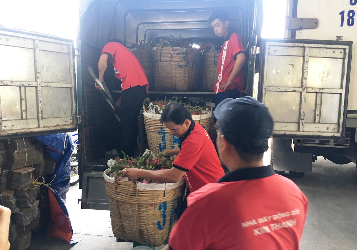 Doanh nghiệp nông sản 'đau đầu' vì chi phí logistics đắt đỏ