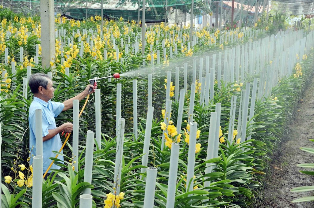Kinh nghiệm sản xuất nông nghiệp công nghệ cao ở An Nhơn Tây