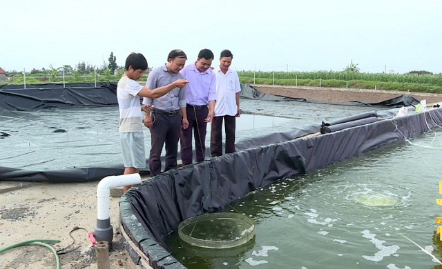 HTX Mỹ Thành: Nuôi tôm sinh thái lợi trăm bề