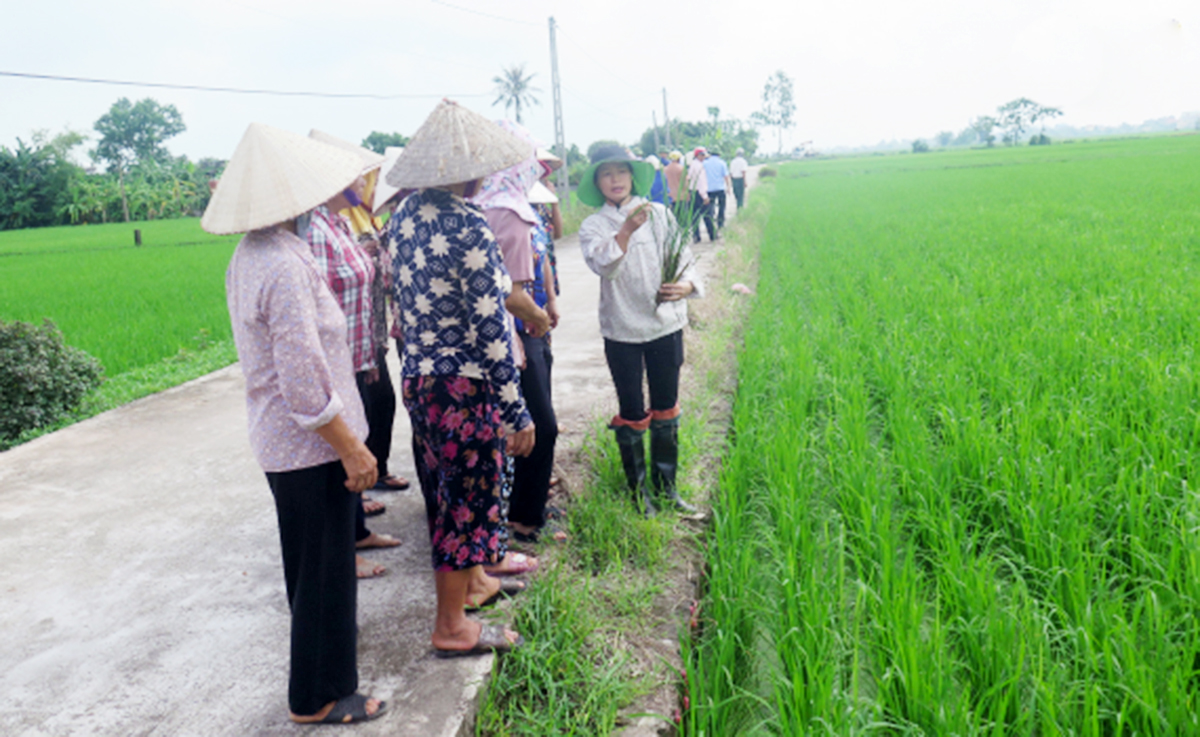 Kiến Xương: Dạy nghề gắn với thực tế và nhu cầu lao động
