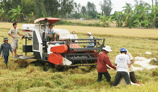 Thái Bình: Nhiều dư địa phát triển BHXH tự nguyện