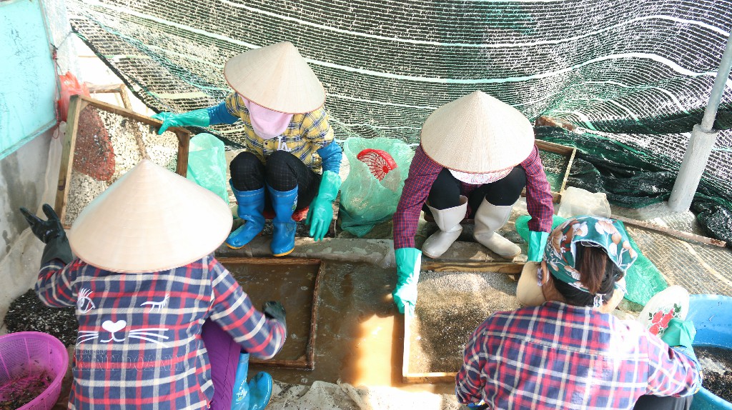 Phát triển chuỗi giá trị kinh tế biển: Giấc mơ chưa tròn