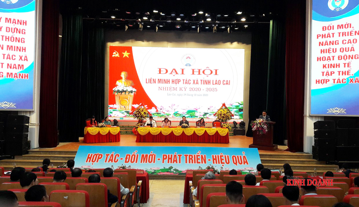 Đại hội VI Liên minh HTX tỉnh Lào Cai: Tập trung gỡ 5 “nút thắt” trong phát triển