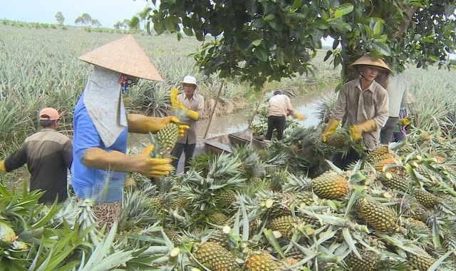 Tân Phước tiến nhanh cùng nông thôn mới