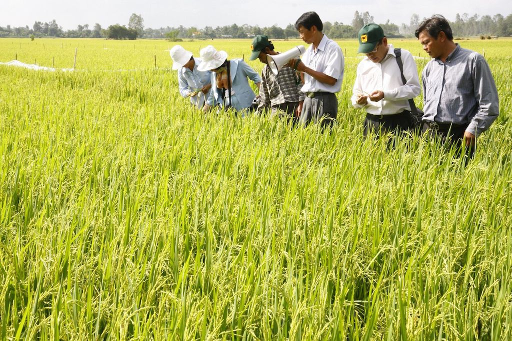 Thay đổi rõ nét dạy nghề nông thôn ở Vị Thuỷ