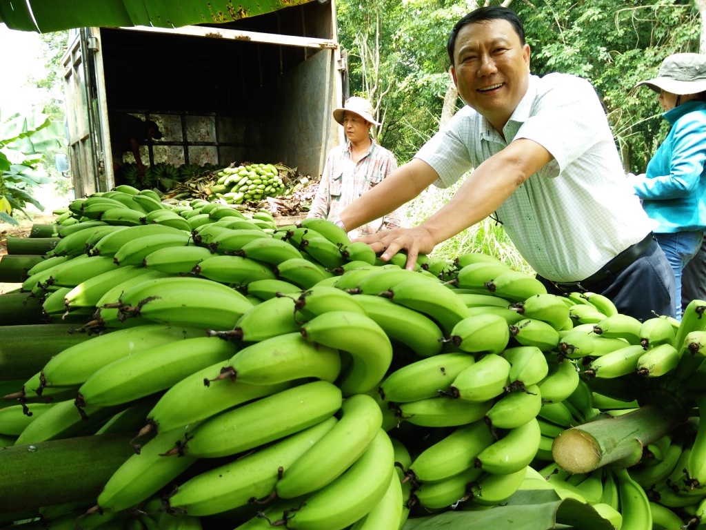 Chuyển đổi cây trồng tạo 'cú huých' cho nông thôn mới nâng cao