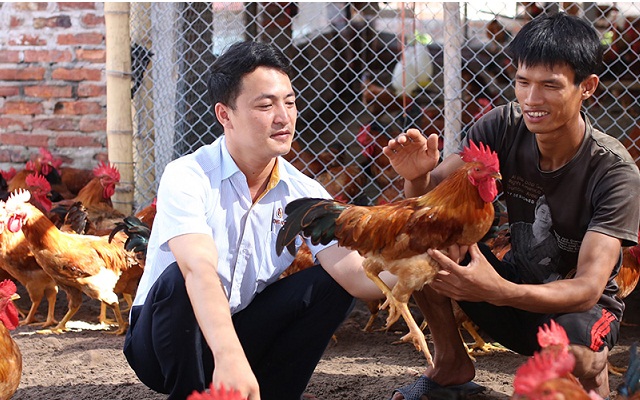 Xây dựng thương hiệu “Gà Lạc Thủy” gắn với bảo vệ môi trường