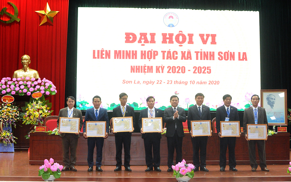 NVT1-1237-1603435534.jpg