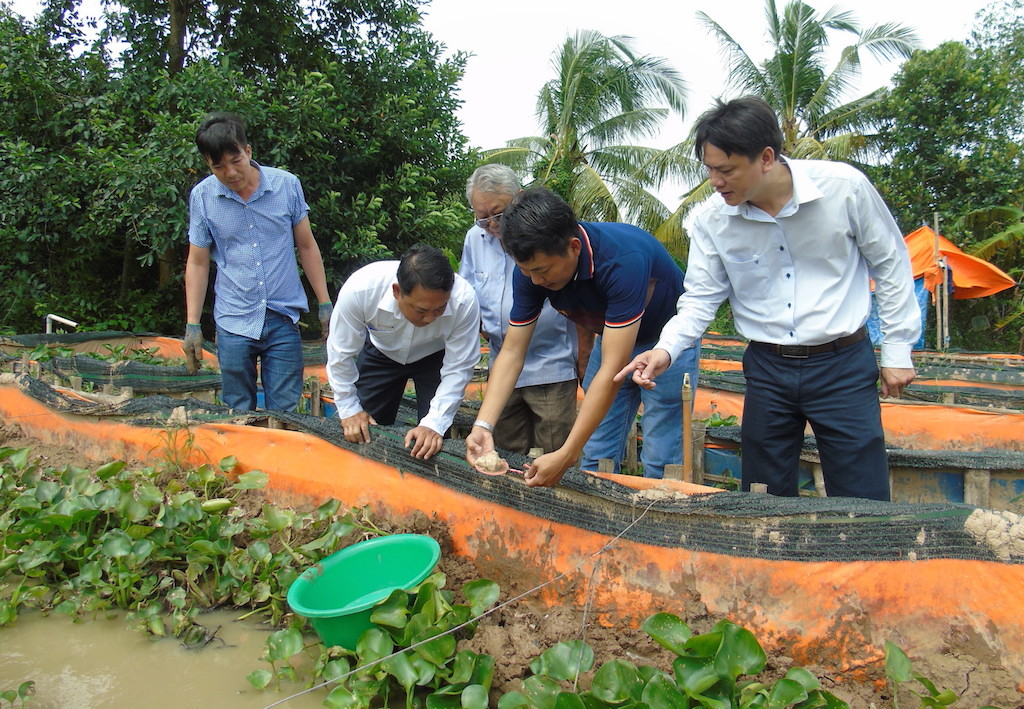 Long Hồ: Đào tạo nghề nông thôn thích ứng biến đổi khí hậu
