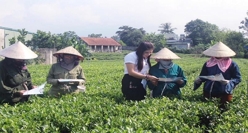 Thái Nguyên: Đưa chính sách an sinh xã hội về khu vực nông thôn