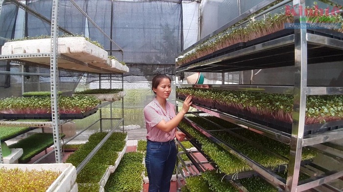 Ninh Sở: Sản phẩm OCOP tạo sức bật cho NTM nâng cao