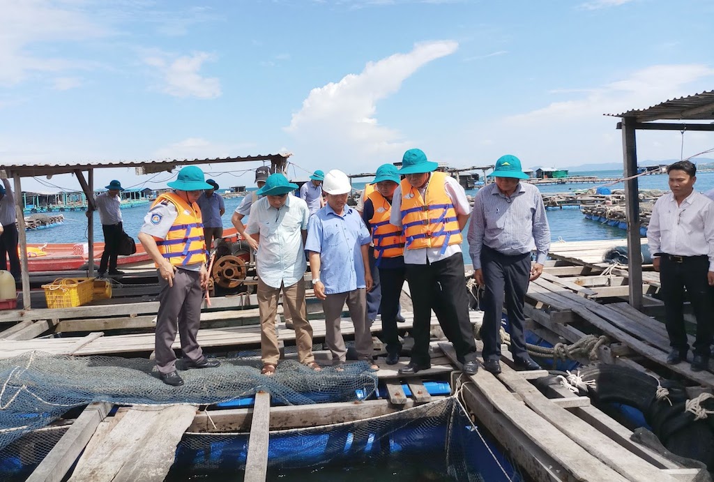 Huyện đảo Kiên Hải: Vững tâm nuôi cá lồng bè nhờ được đào tạo
