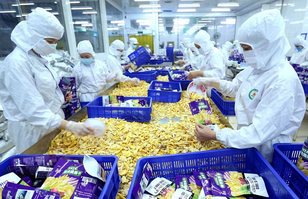 Xuất siêu nông sản tăng 10,7%, đạt gần 8 tỷ USD trong 10 tháng