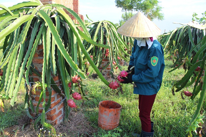 Xã vùng II nỗ lực gấp đôi trong giảm nghèo bền vững