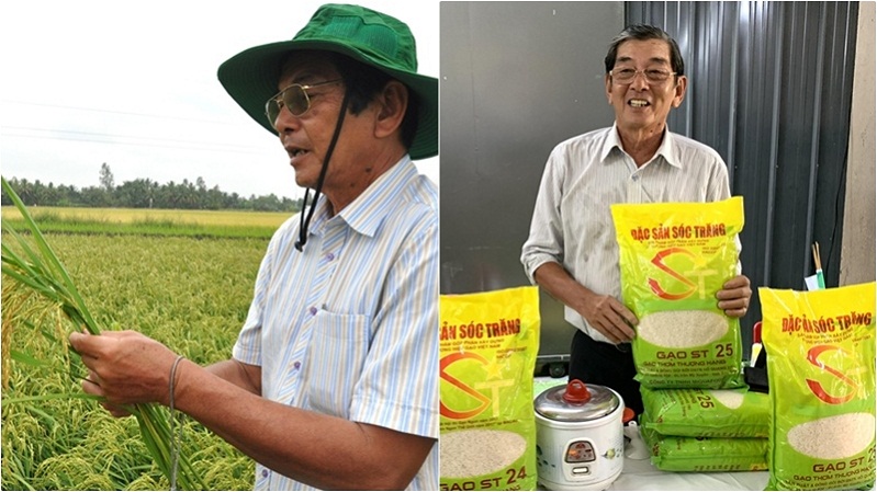 4 giống gạo thơm Việt Nam tham gia cuộc thi Gạo ngon thế giới năm 2020