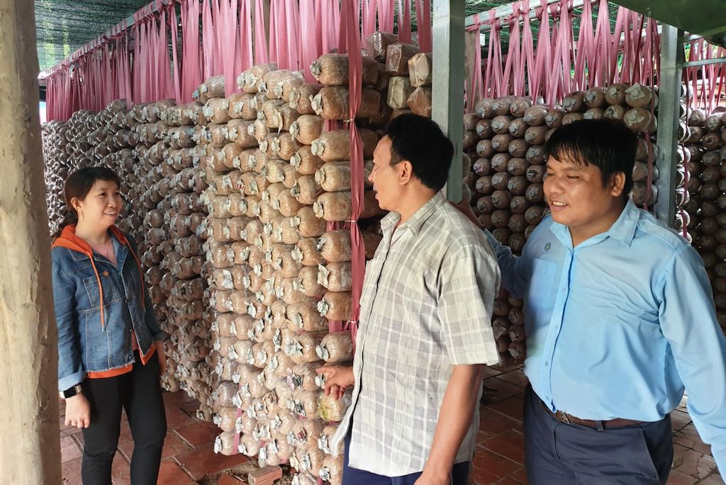 An Giang kỳ vọng giảm nghèo từ nghề trồng nấm