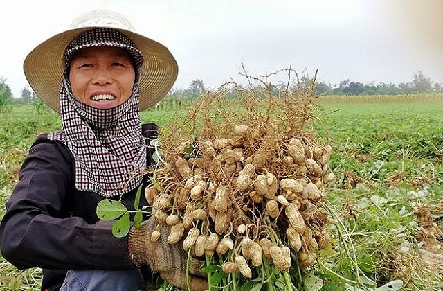 Xã nghèo vươn mình cùng xây dựng nông thôn mới