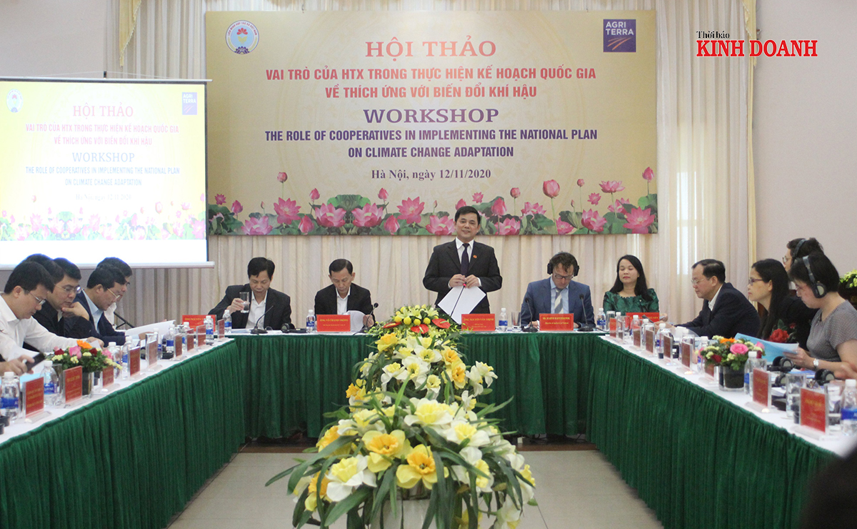 Hợp tác xã chung tay hành động chống biến đổi khí hậu