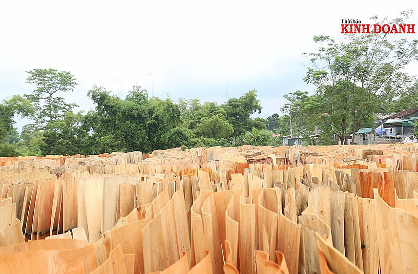 Bí quyết phát triển bền vững ở HTX chế biến gỗ Sông Hiến
