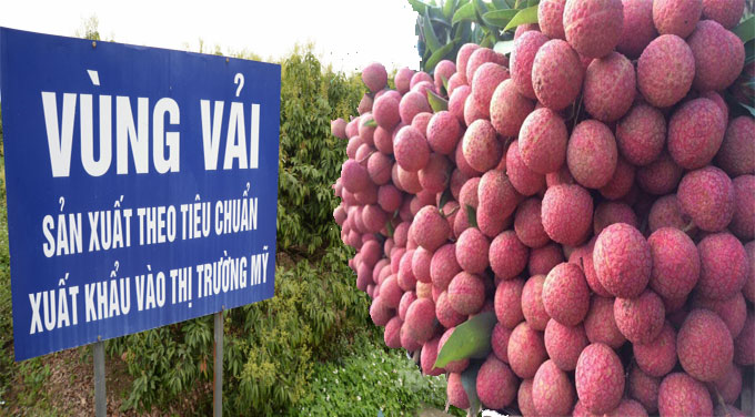 Nắm bắt cơ hội xuất khẩu vào thị trường Mỹ hậu Covid-19