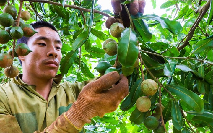 Quảng Trực: Sản phẩm sạch 'nâng bước' về đích nông thôn mới