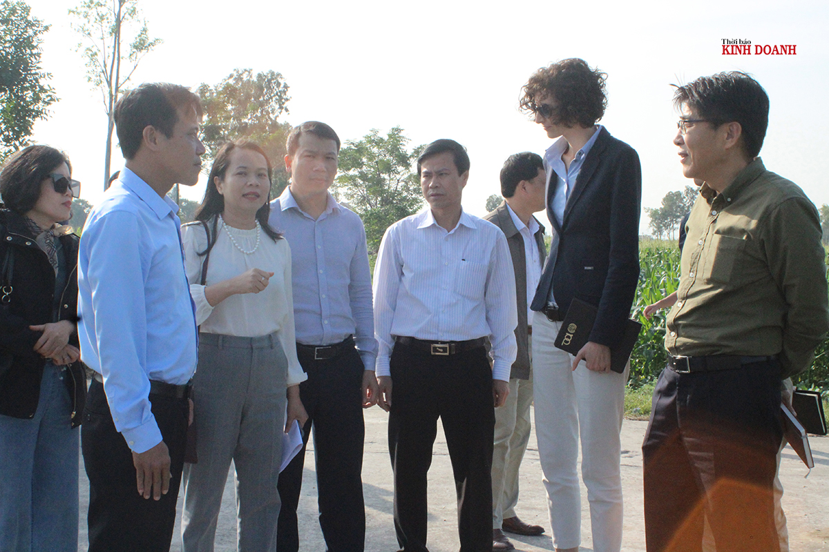 Động lực 'chuyển mình' của các HTX ở xứ Thanh