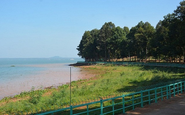 2 doanh nghiệp Hà Nội đấu giá thành công đất vàng Đồng Nai gấp 1,8 lần giá khởi điểm