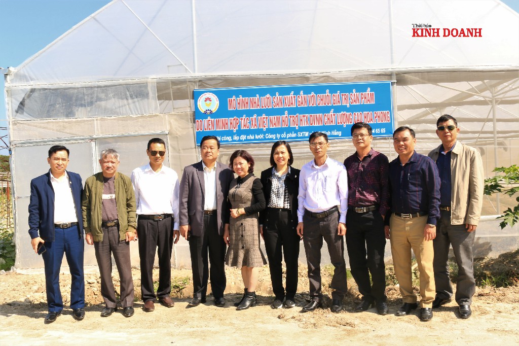 Liên minh HTX Việt Nam ‘ươm mầm’ chuỗi giá trị tại Quảng Ninh