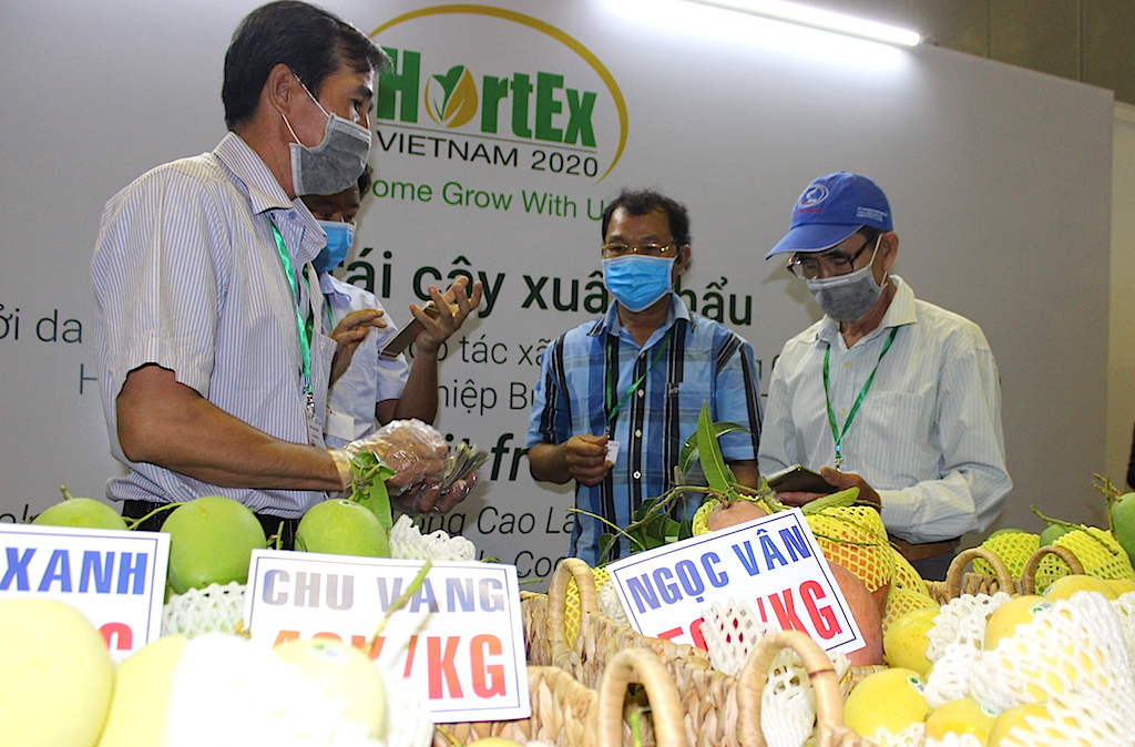 Doanh nghiệp vẫn khổ vì 'bóng ma' Covid