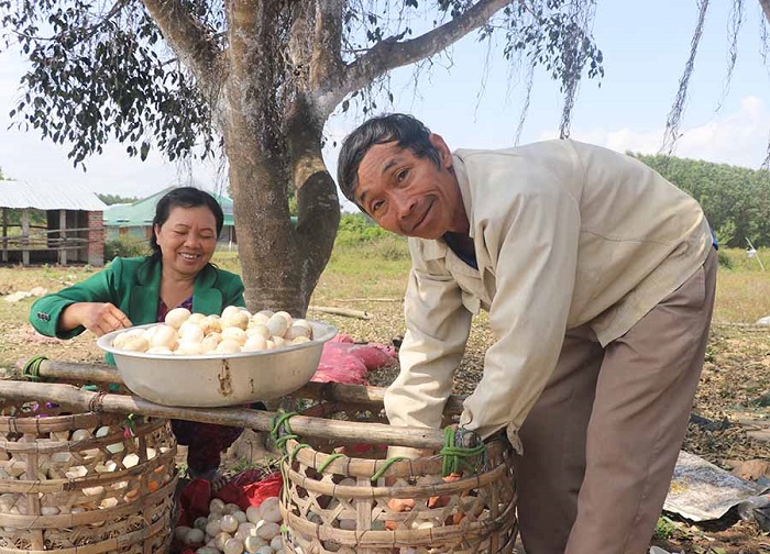 HTX Đồng Tâm: Hướng đi bền vững từ chăn nuôi an toàn sinh học