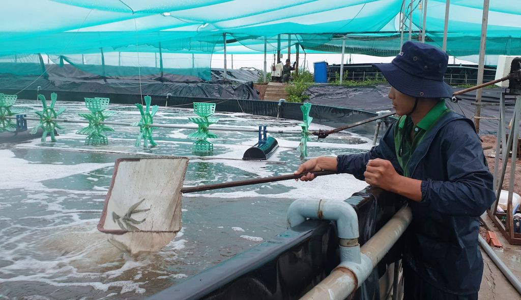 Bình Khánh: Chuỗi liên kết nuôi trồng thủy sản góp phần xây dựng NTM