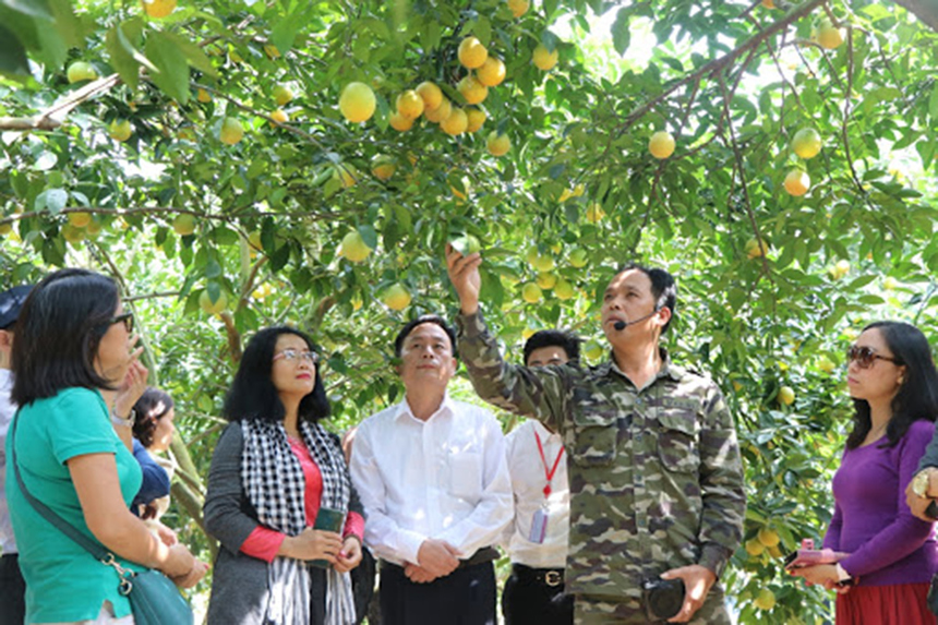 link 789bet-li-ch-xanh-ti-nh-Ba-c-Giang-4773-1607