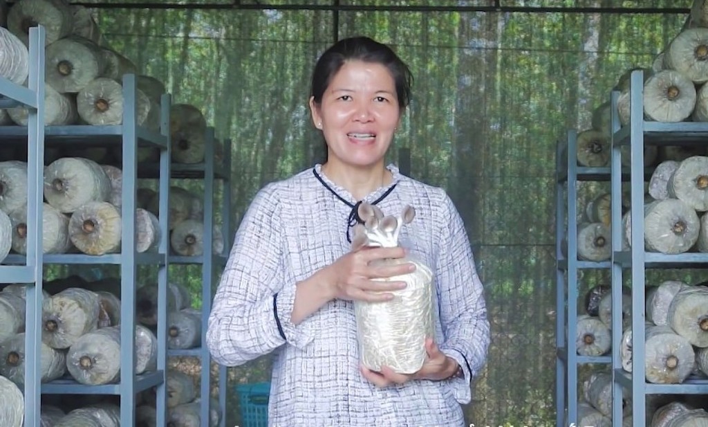 Sức bật từ kinh tế hợp tác và nông nghiệp đô thị ở Tân Bình