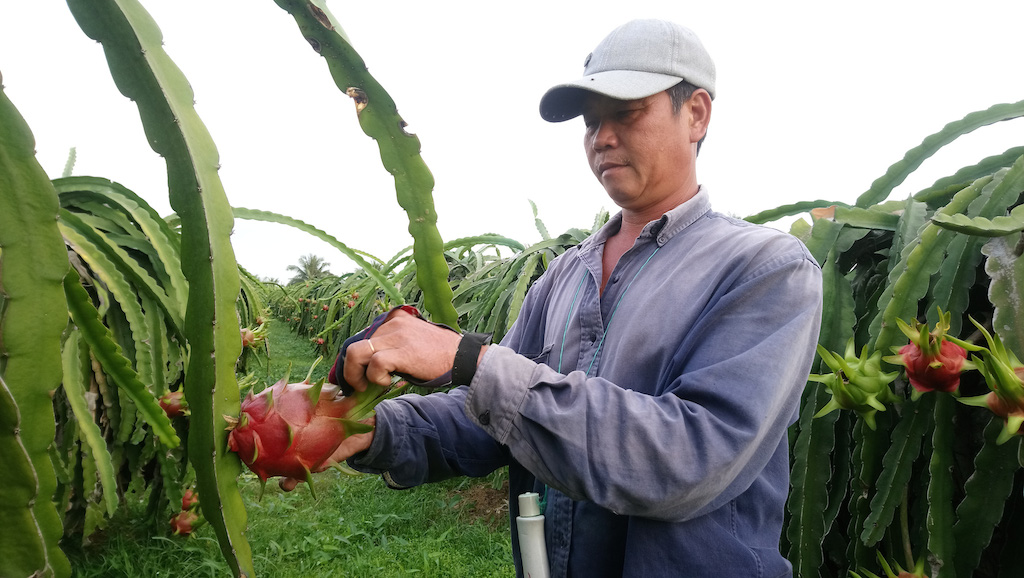 Bảo Hòa nỗ lực về đích nông thôn mới kiểu mẫu