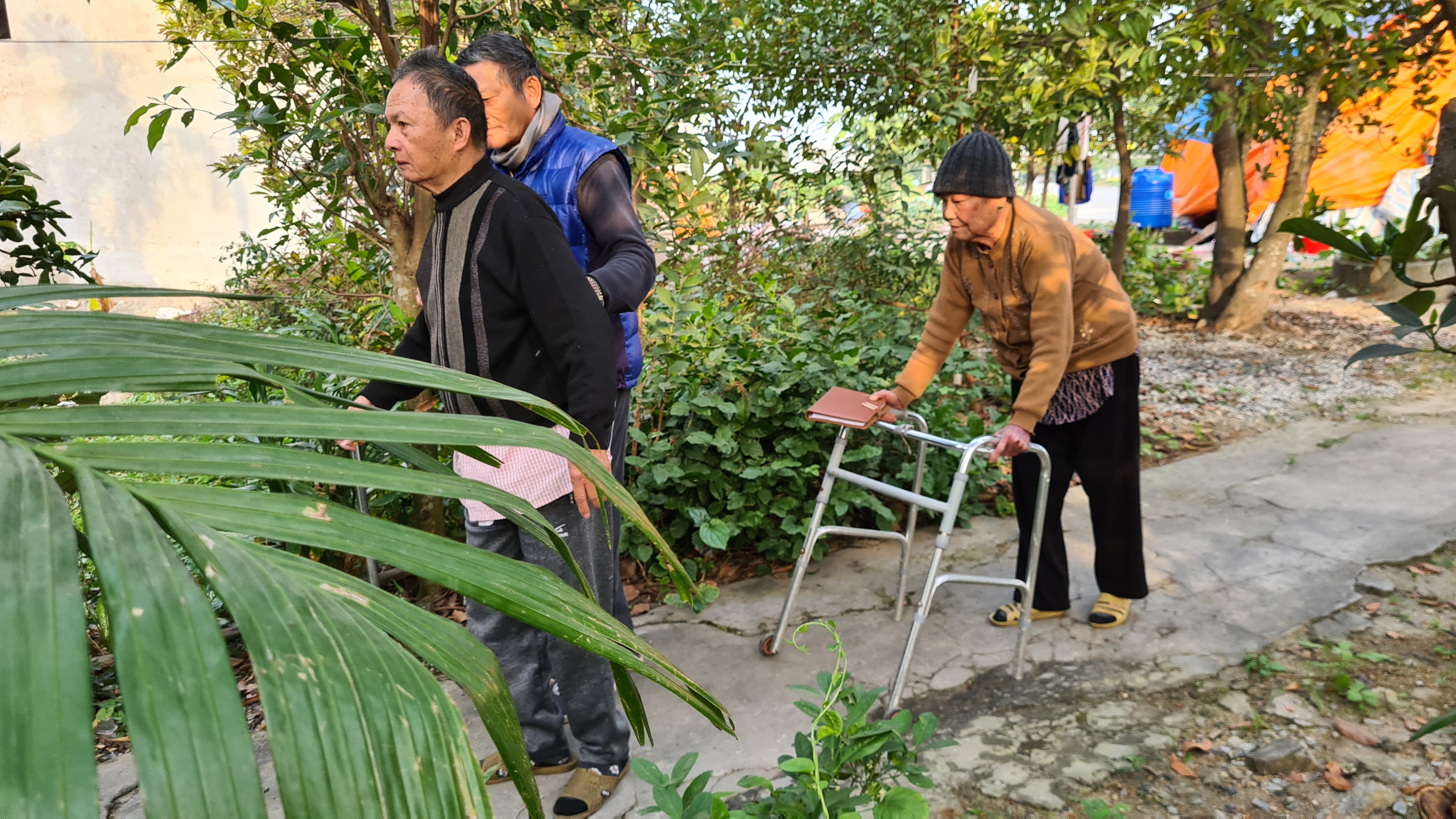 Hải Phòng: Vì sao chậm tách thửa đất ở cho công dân?