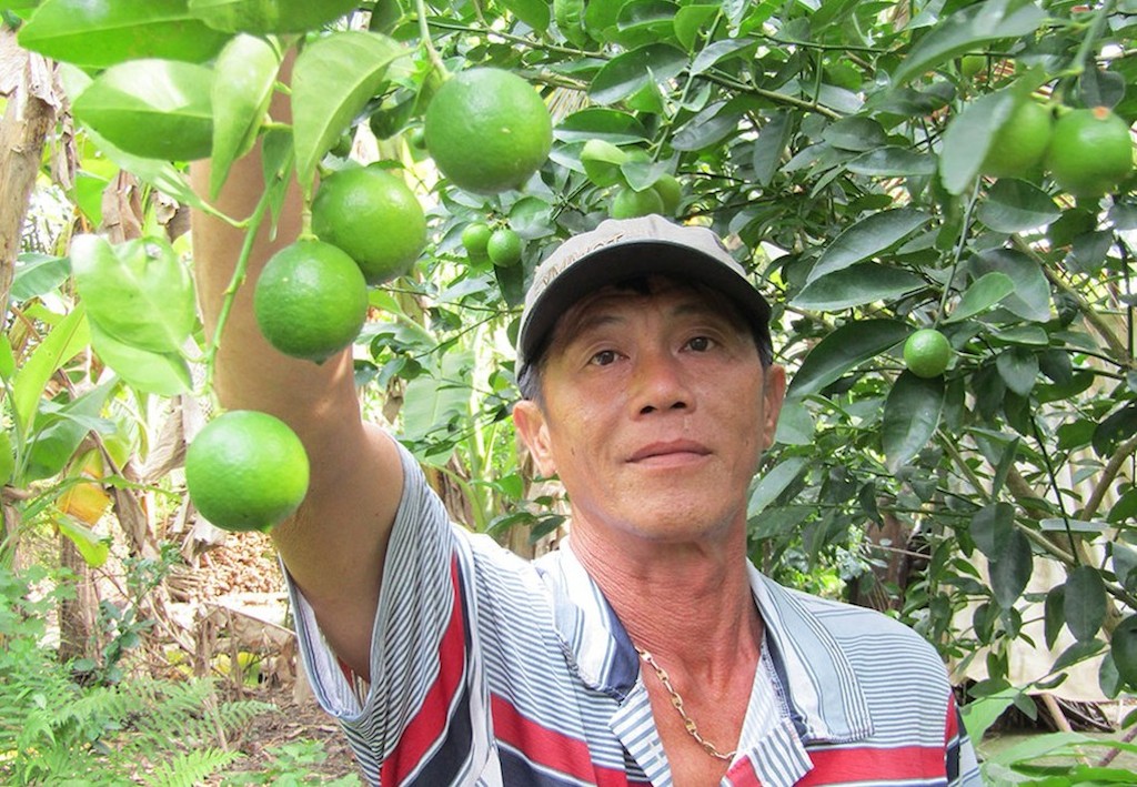 Tam Lập hướng tới xã nông thôn mới nâng cao với sản xuất nông nghiệp hiện đại