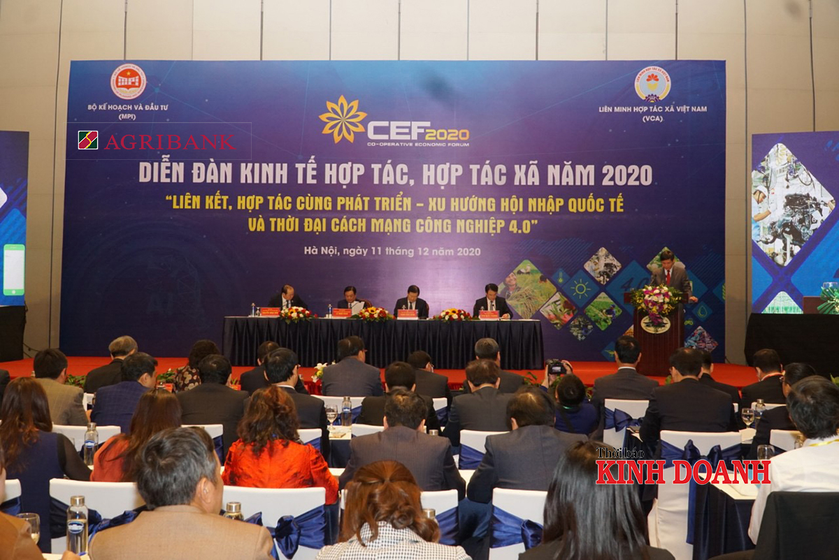 Nhiều HTX có doanh thu trên 100 tỷ đồng, đóng góp ngân sách không kém doanh nghiệp lớn