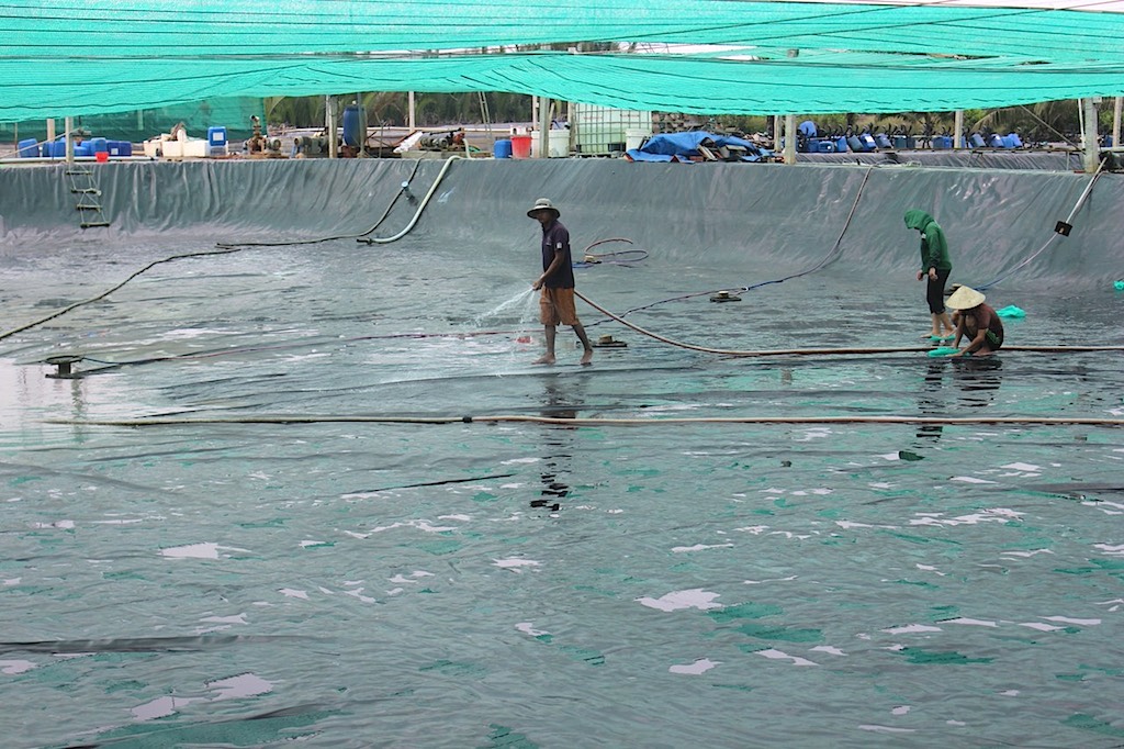 Phước An làm giàu nhờ cải tiến nuôi trồng thuỷ sản