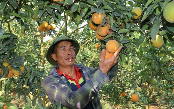 Vân Hồ “giữ đúng hẹn” hoàn thành các tiêu chí nông thôn mới