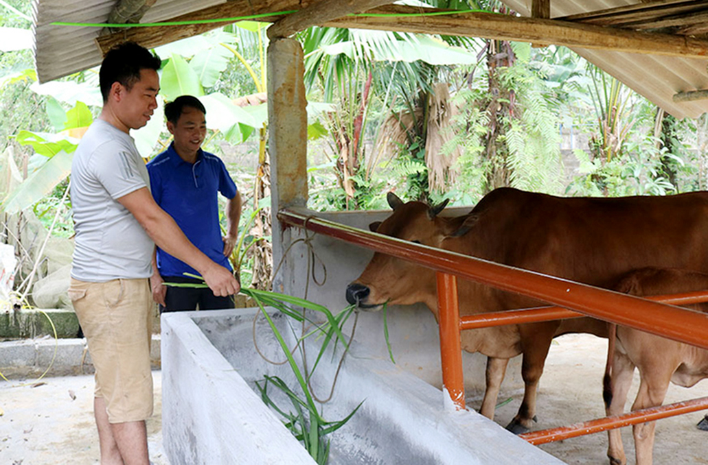 Yên Lập nâng chất dạy nghề cho lao động nông thôn