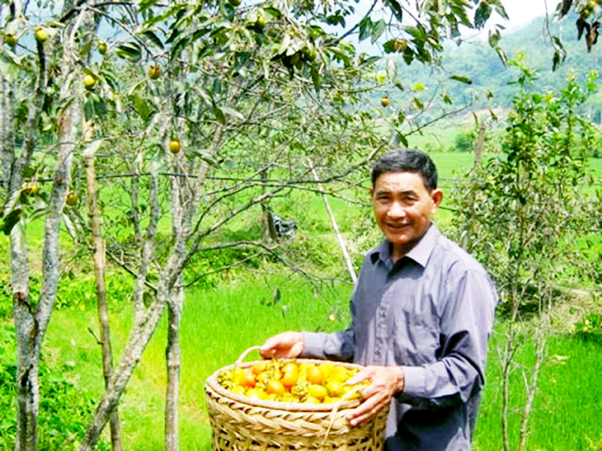 Chợ Đồn phát triển OCOP gắn với xây dựng nông thôn mới