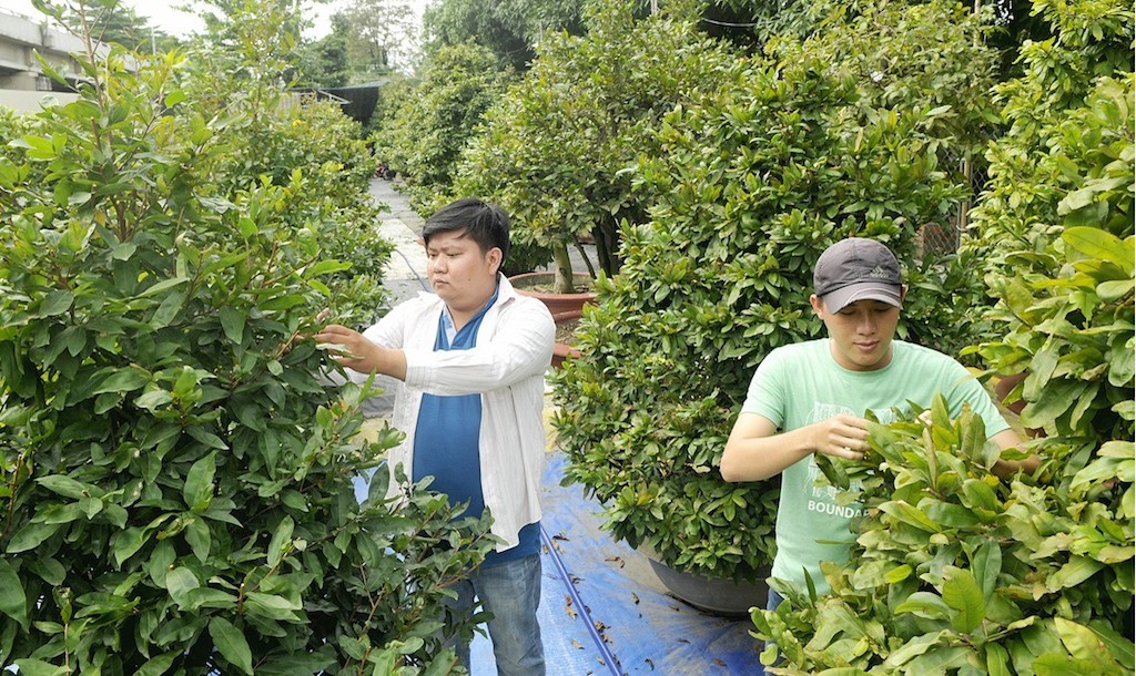 An Tây nâng 'chất' nông thôn mới với kinh tế hợp tác