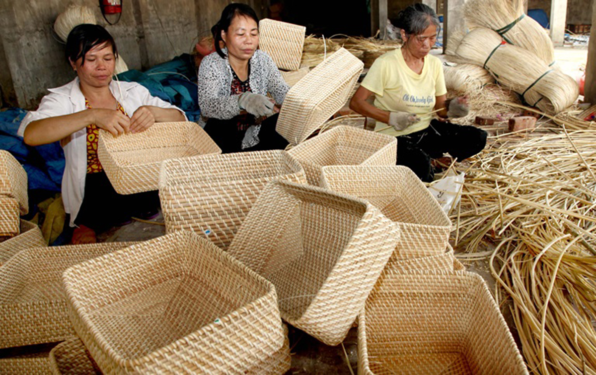 Điểm sáng đào tạo nghề nông thôn ở Quảng Xương