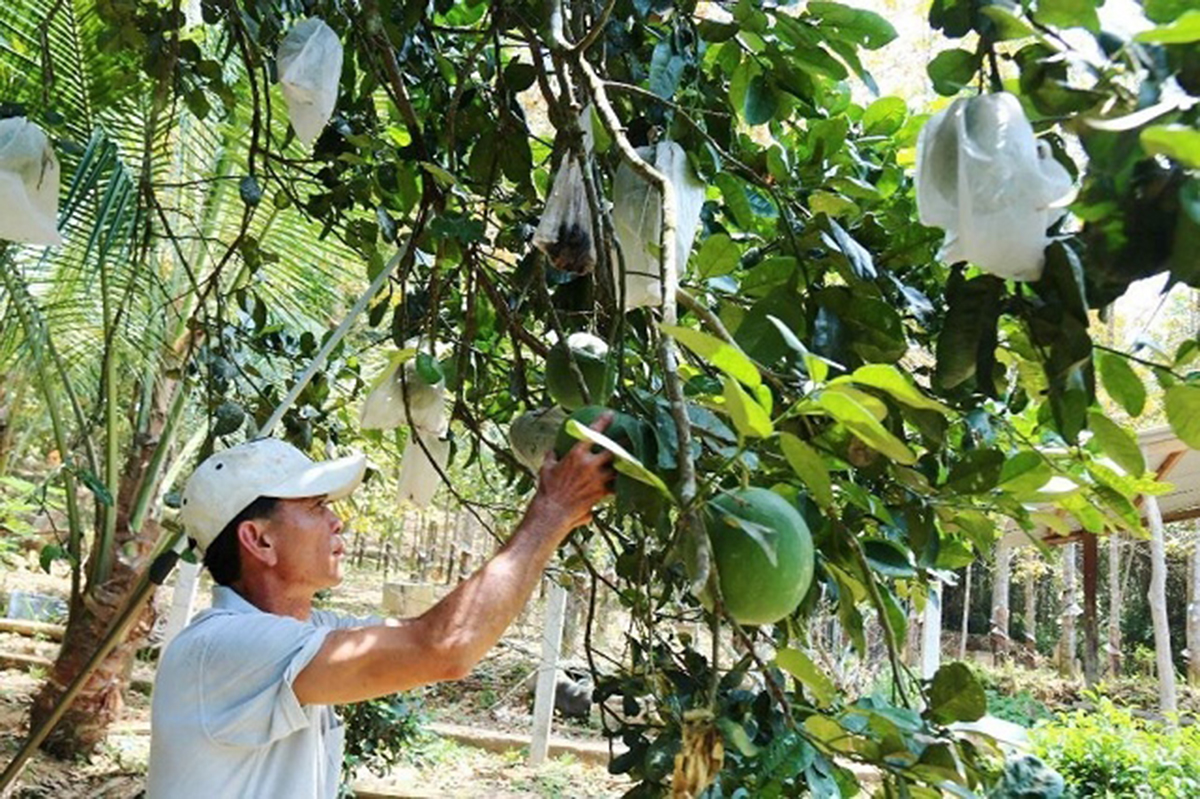 Khánh Vĩnh giải 'bài toán' việc làm nhờ nâng chất lượng đào tạo nghề