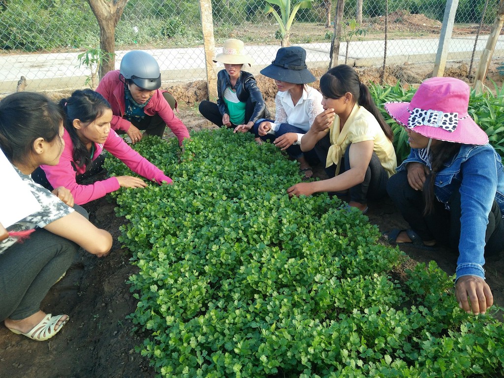 Học nghề nông giúp người dân Kông Chro vươn lên
