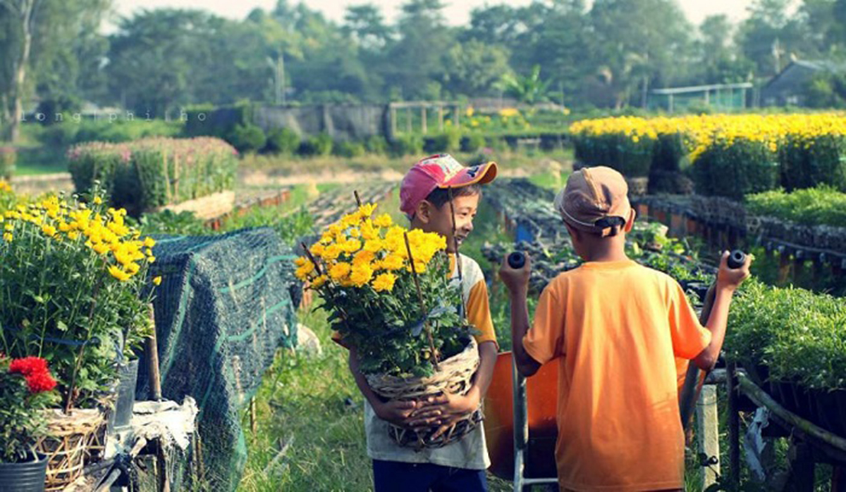 Xuân về, trở lại Cái Mơn
