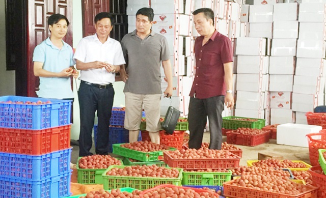 Quản trị HTX khoa học để thúc đẩy xuất khẩu nông sản
