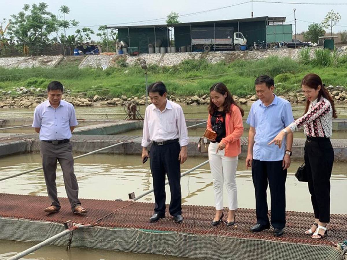Mão Điền khởi sắc nhờ nuôi thủy sản sạch