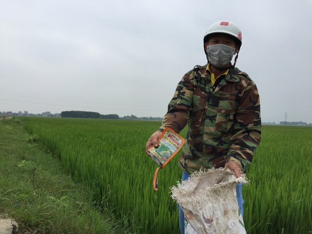 Kinh nghiệm sản xuất 'xanh' ở HTX giống nông nghiệp Thốt Nốt