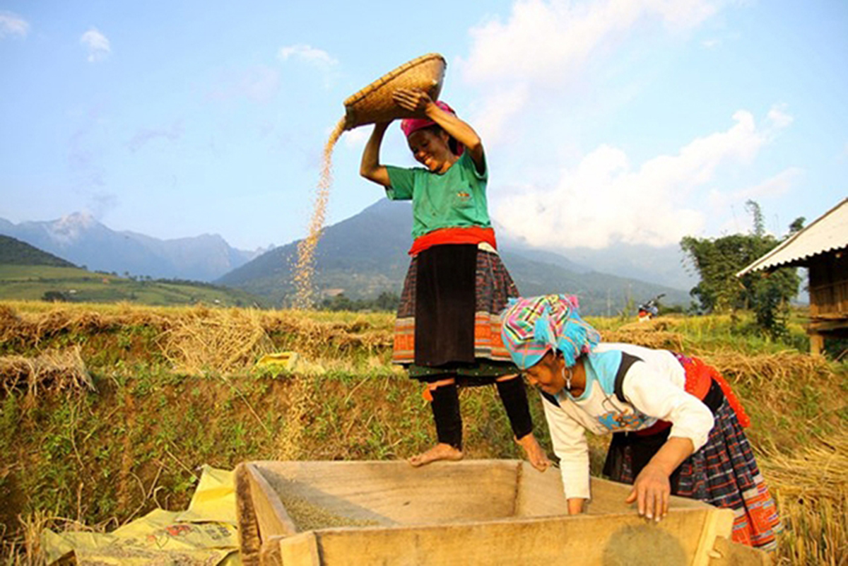 Hà Giang thúc đẩy nông nghiệp kết hợp du lịch sinh thái